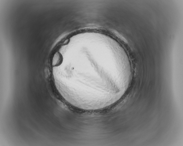 X0000110871400200907091351