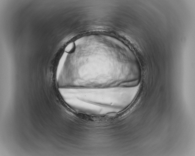 X0000110871402200907091351