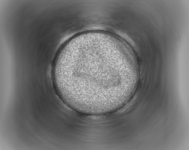 X0000110871404200907091351