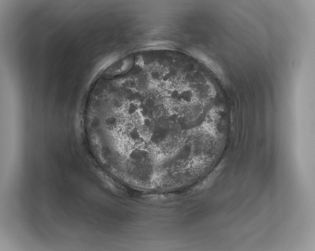 X0000110871405200907091351