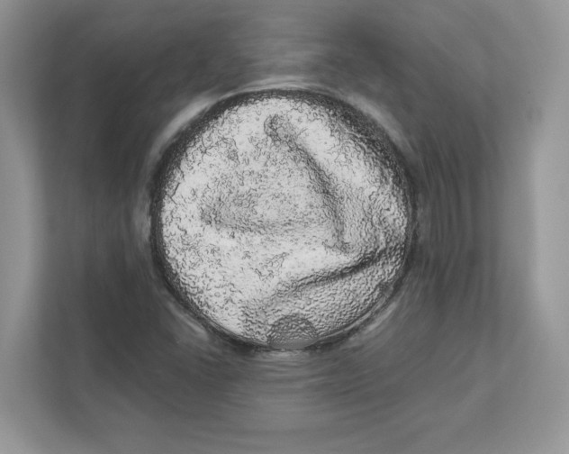 X0000110871406200907091351