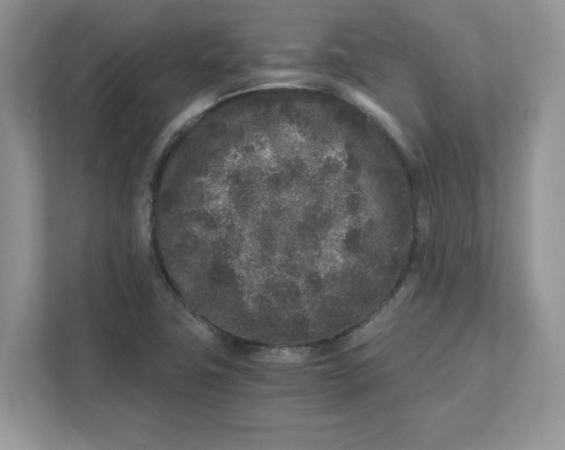 X0000110871411200907091351