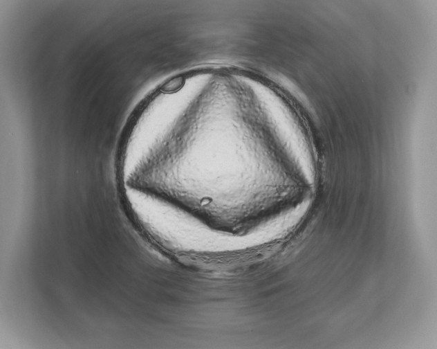 X0000110871412200907091351