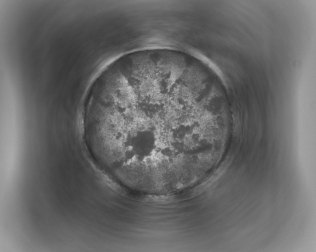 X0000110871415200907091351