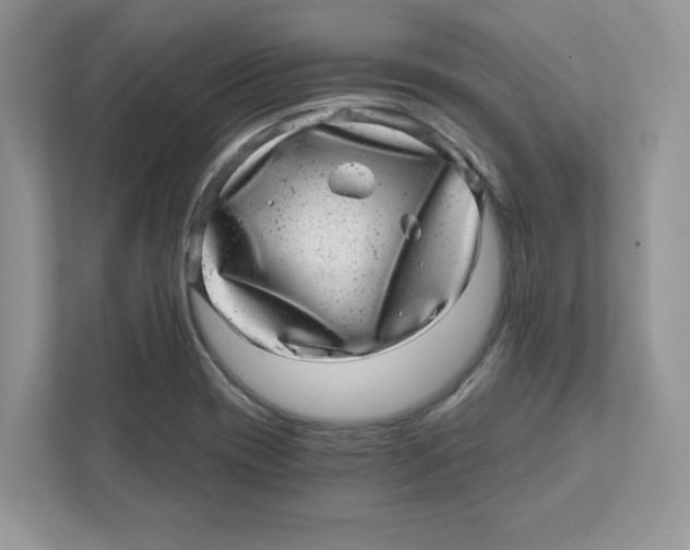 X0000110871417200907091351