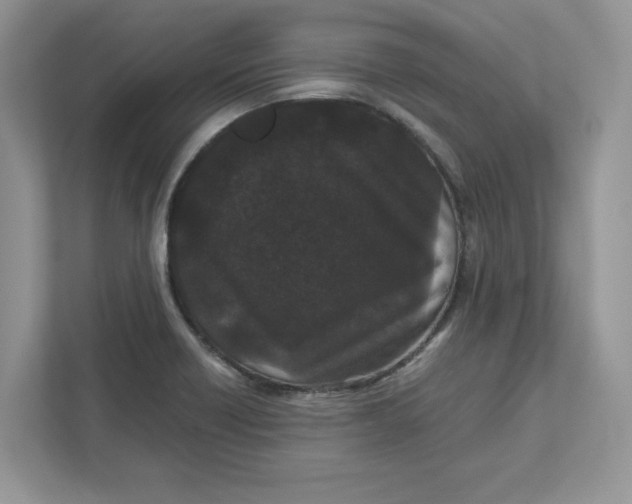 X0000110871418200907091351