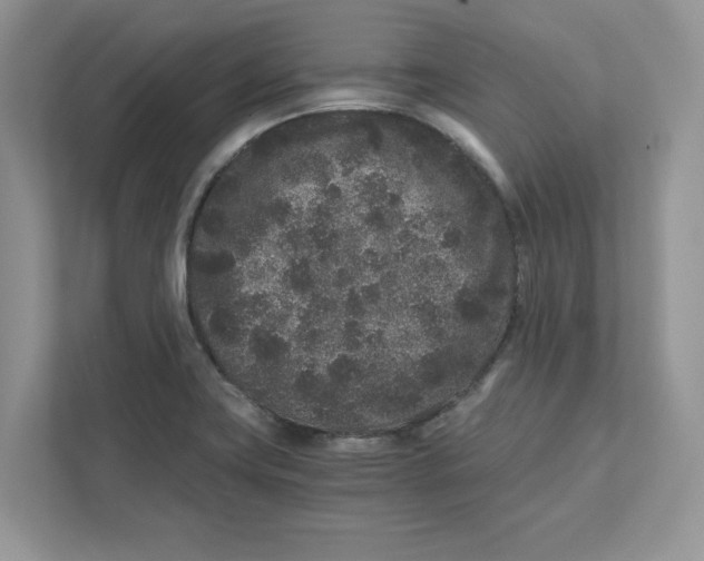 X0000110871419200907091351