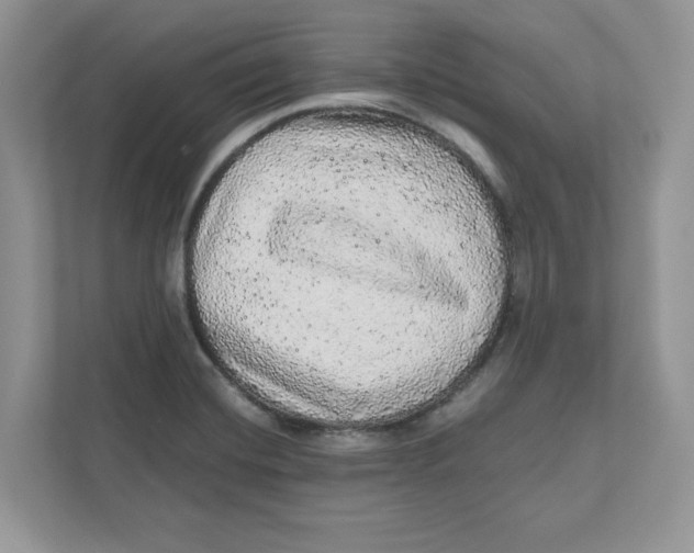 X0000110871420200907091351