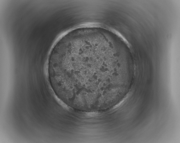 X0000110871421200907091351