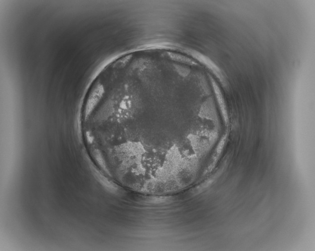 X0000110871423200907091351