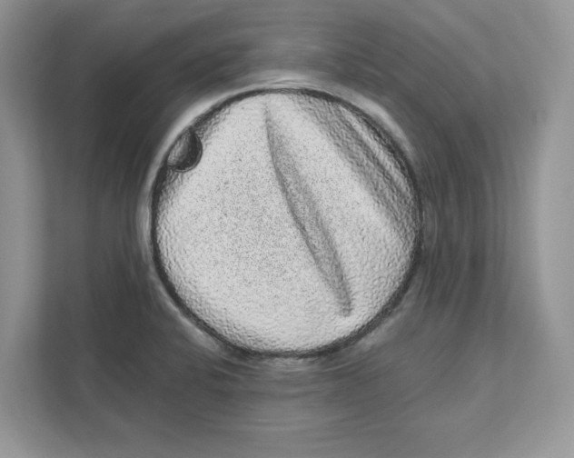 X0000110871424200907091351