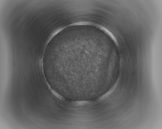 X0000110871425200907091351