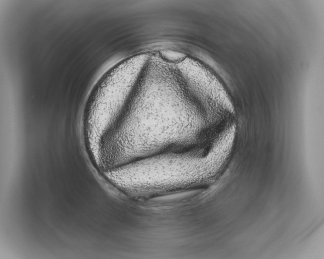 X0000110871426200907091351