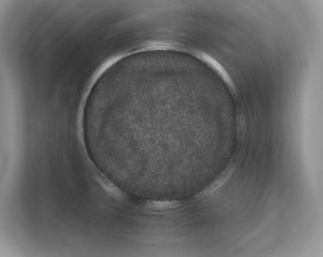 X0000110871427200907091351