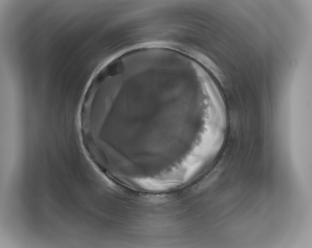 X0000110871428200907091351