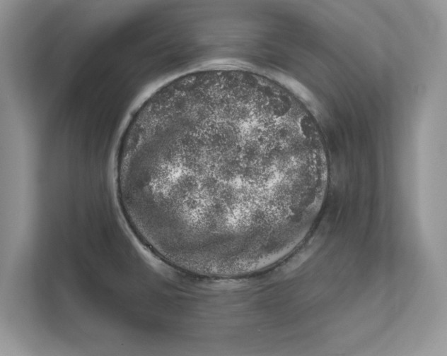 X0000110871430200907091351