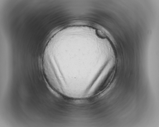 X0000110871433200907091351