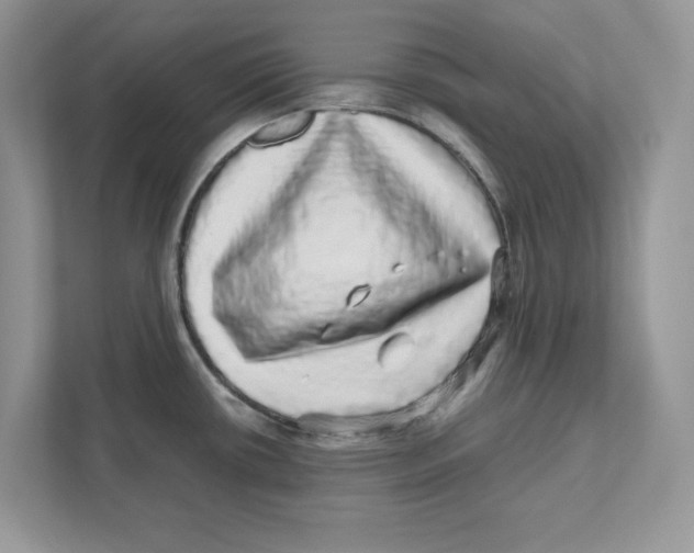 X0000110871434200907091352