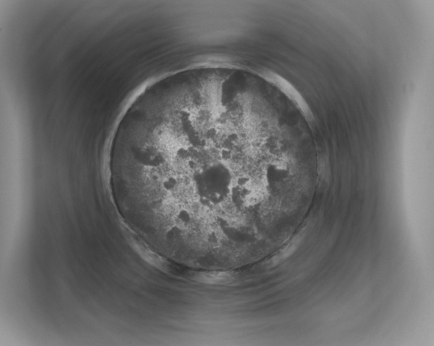 X0000110871435200907091352