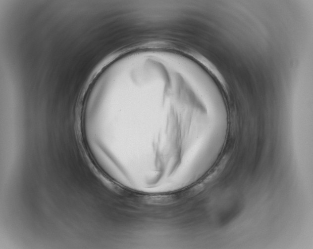 X0000110871437200907091352