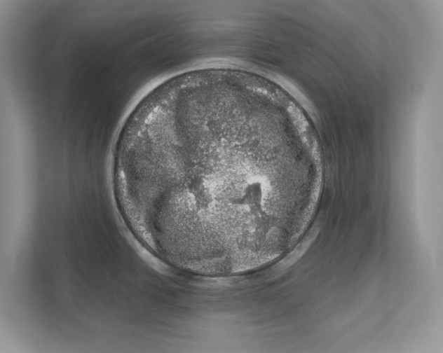 X0000110871438200907091352