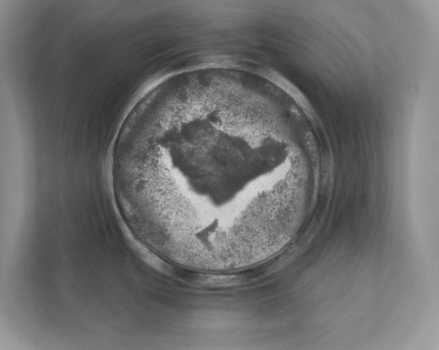 X0000110871439200907091352