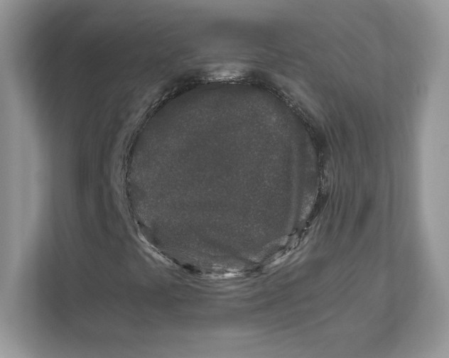 X0000110871441200907091351