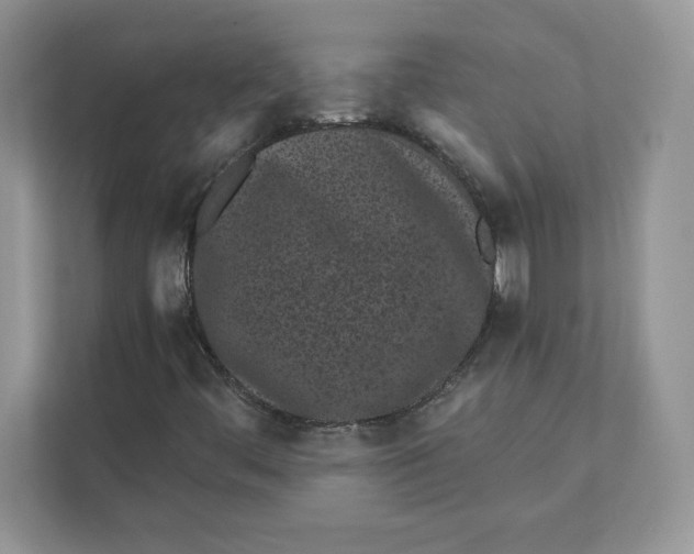 X0000110871444200907091351