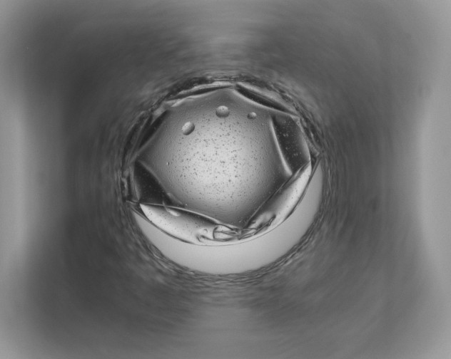 X0000110871445200907091351