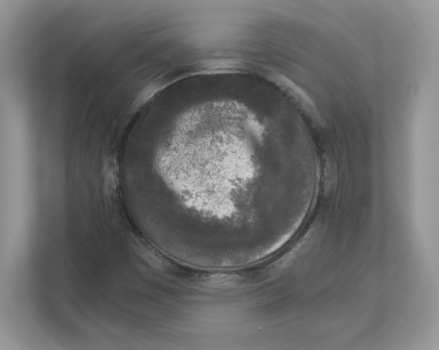 X0000110871449200907091351