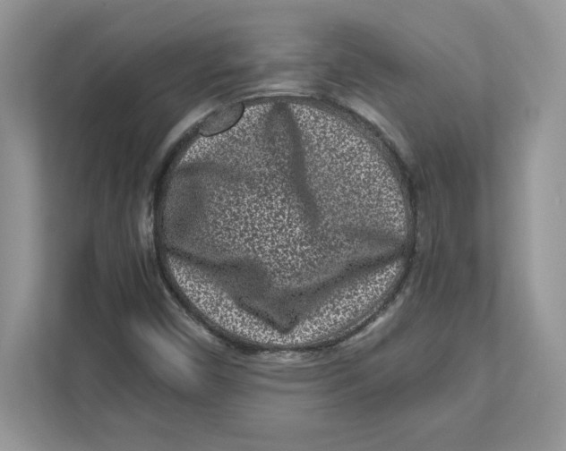 X0000110871450200907091351