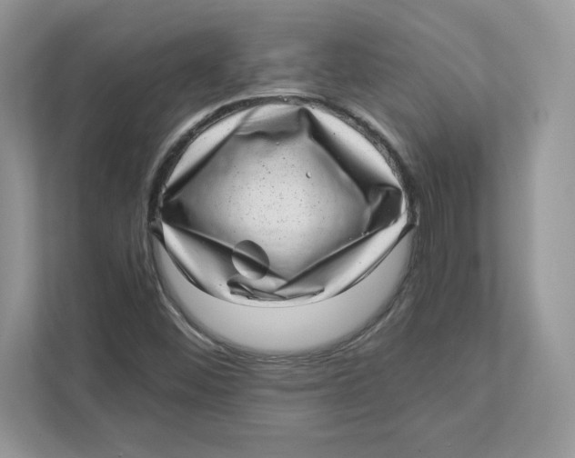 X0000110871452200907091351