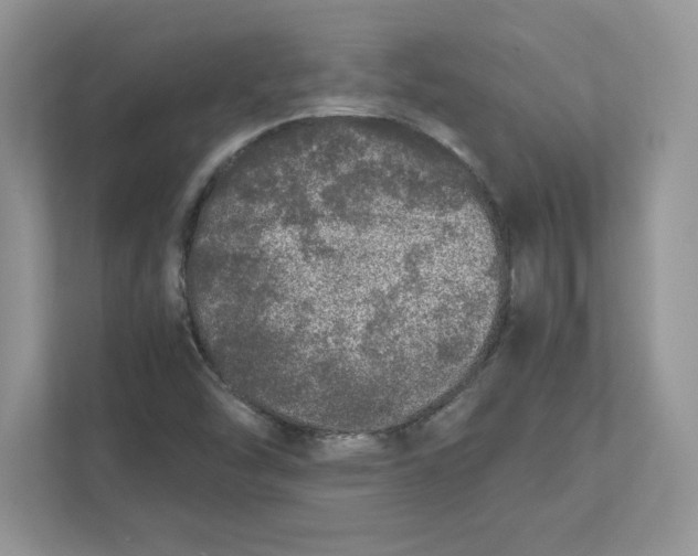 X0000110871454200907091351