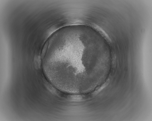 X0000110871457200907091351