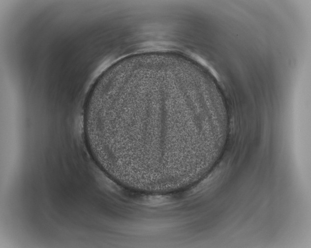 X0000110871459200907091351