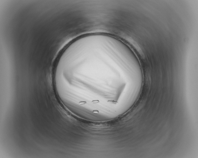 X0000110871460200907091351