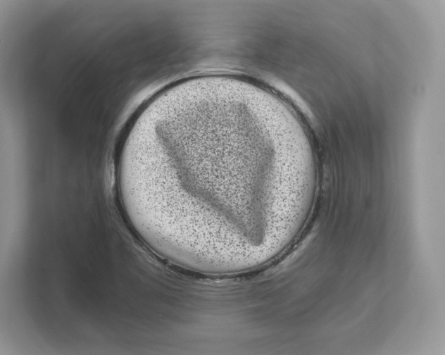 X0000110871461200907091351