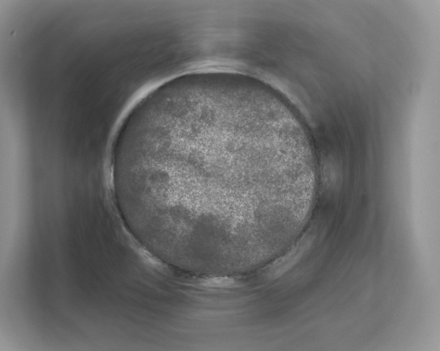 X0000110871462200907091351