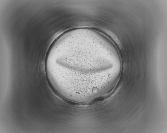 X0000110871465200907091351