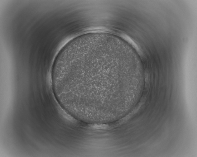 X0000110871466200907091351