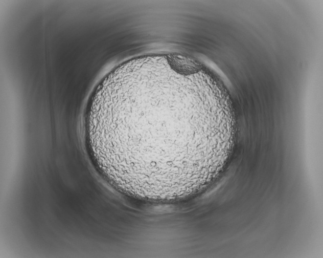 X0000110871467200907091351