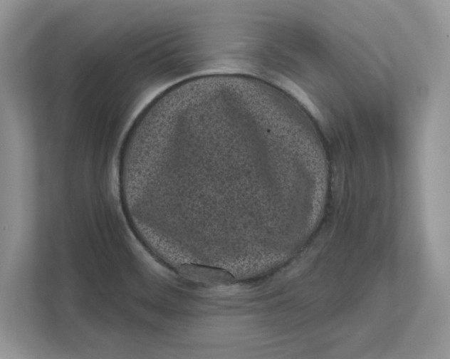 X0000110871468200907091351