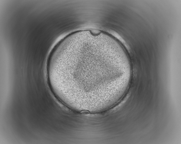 X0000110871469200907091351