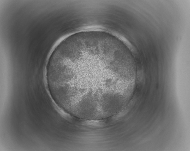 X0000110871470200907091351