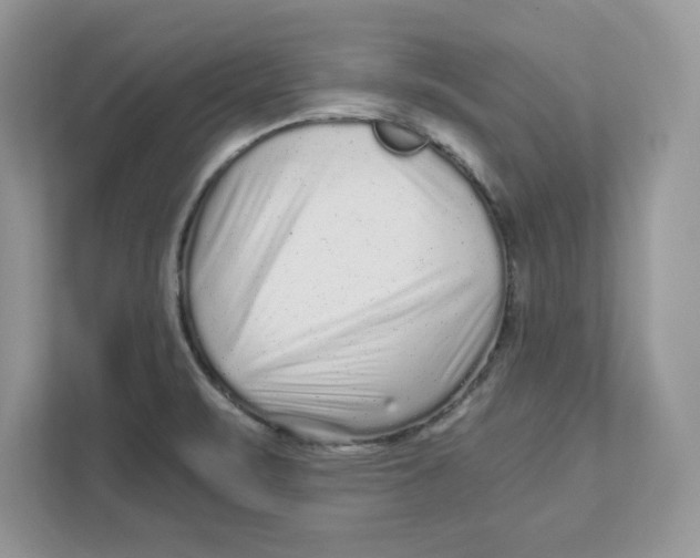 X0000110871471200907091351