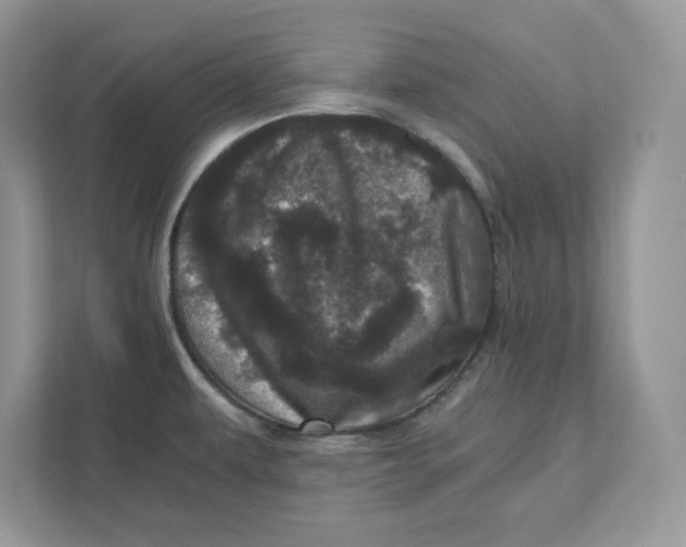 X0000110871479200907091350