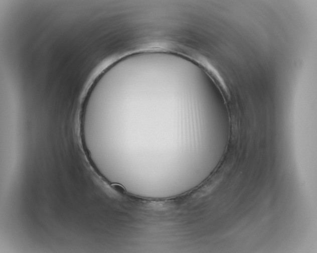 X0000110871480200907091350