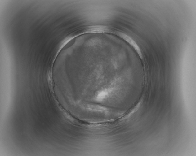 X0000110871481200907091350