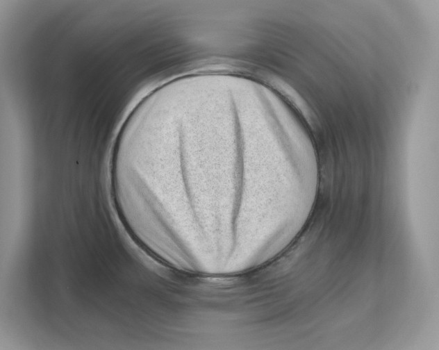 X0000110871483200907091350