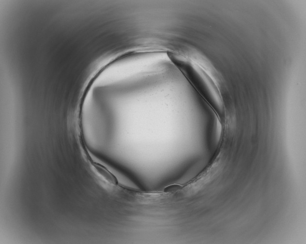 X0000110871485200907091350